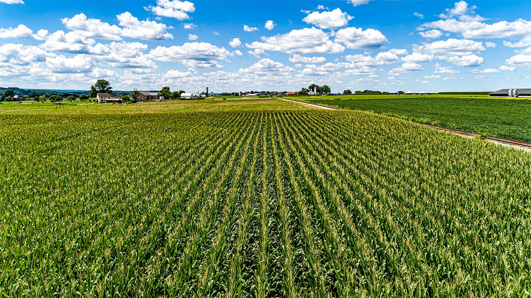 Ag drones in Alma